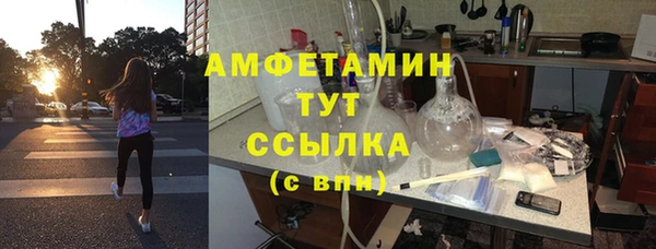 PSILOCYBIN Алзамай