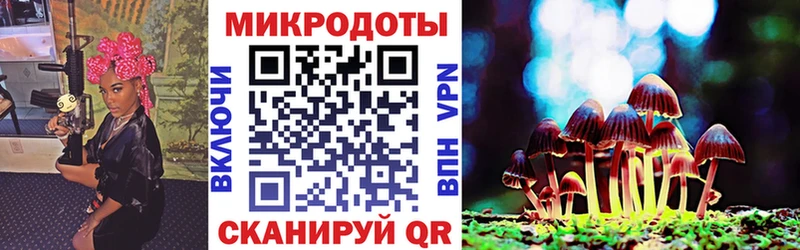 дарнет шоп  Междуреченск  Галлюциногенные грибы Cubensis 
