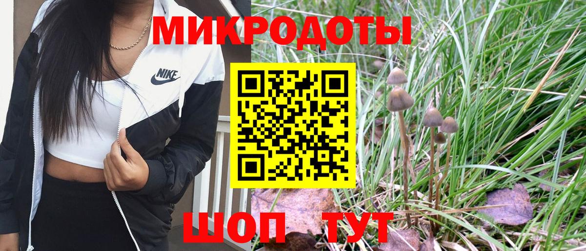 Галлюциногенные грибы Magic Shrooms Междуреченск