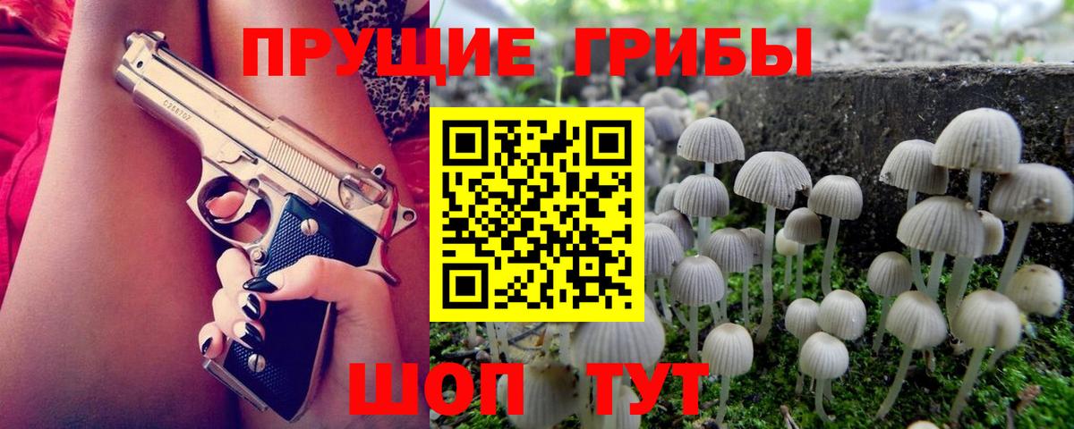 Междуреченск  Псилоцибиновые грибы Cubensis  Вход с VPN 